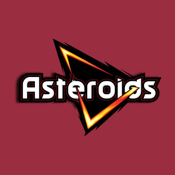Teestruct - Asteroids T-Shirt
